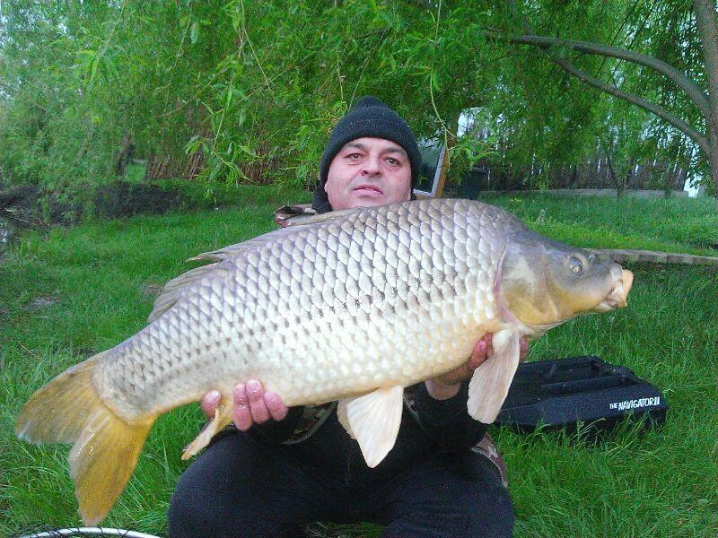 2014 Balta Lazar Alexandria - img-20140429-wa0005.jpg